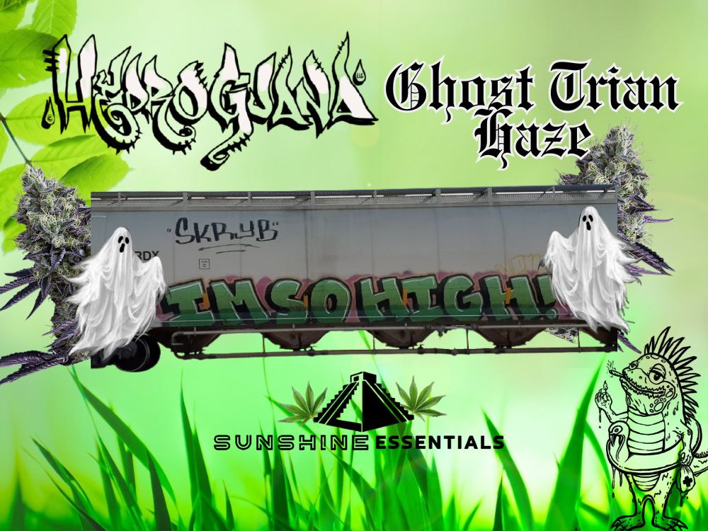 Photograph of product: Ghost Train Haze | Hydroguana - 1g