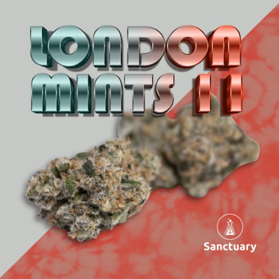 Photograph of product: Signature | London Mints 11 | 3.5g