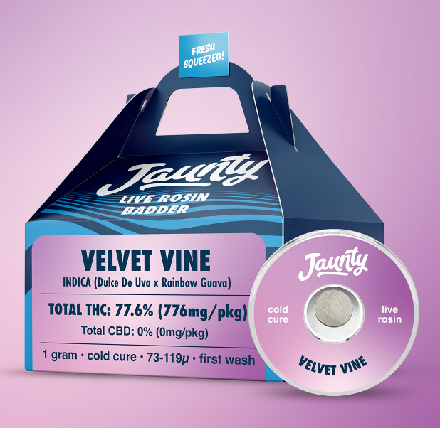 Photograph of product: Jaunty Live Rosin | Velvet Vine- Badder