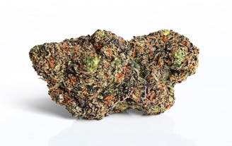 Photograph of product: Tenacious - 