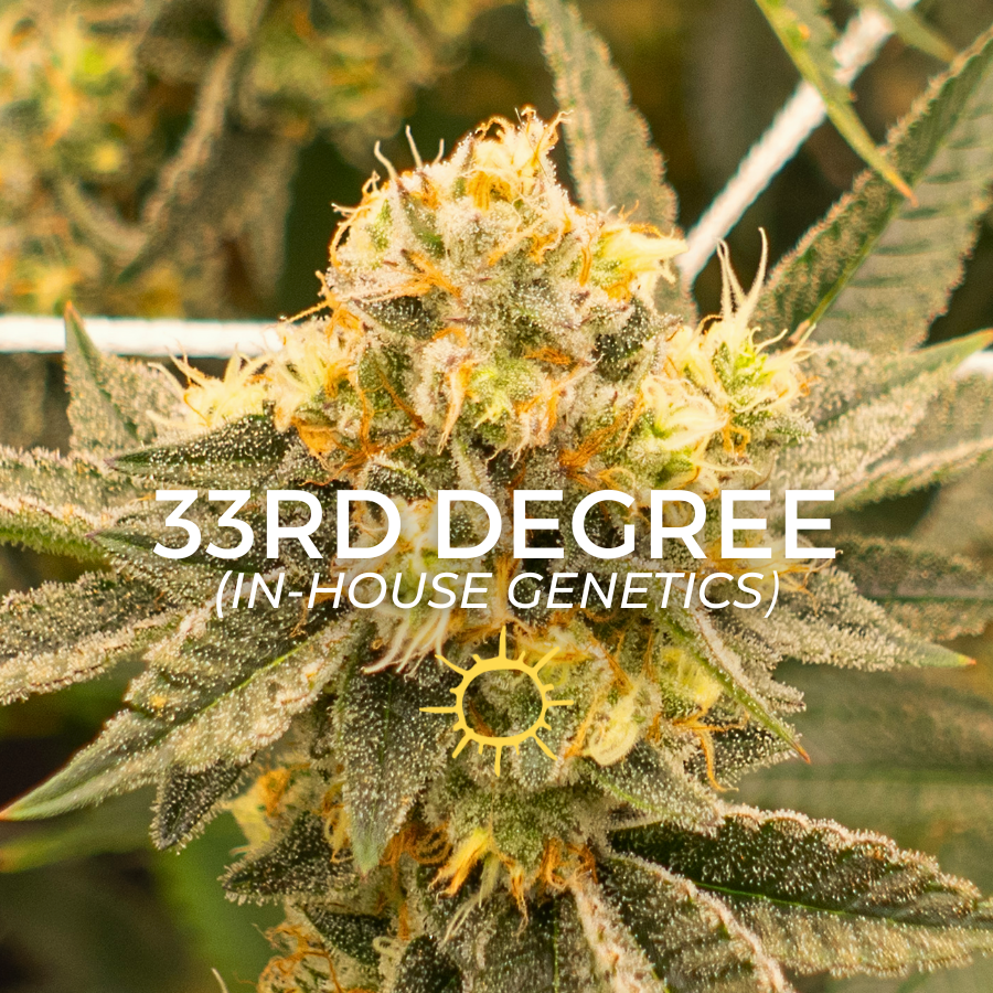 Photograph of product: 33rd Degree #1 - 4g