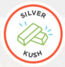 Photograph of product: Jar Shatter Silver Kush