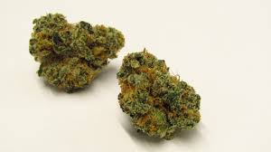 Photograph of product: Notorious Black Maple Flower (3.5g)