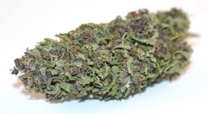 Photograph of product: Atta African Blueberry #3 Flower (3.5g)