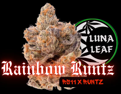 Photograph of product: LUNA LEAF | Rainbow Runtz | Flower (I) - 28g