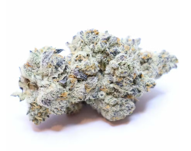 Photograph of product: Widow Fighter - Buds - 3.5g