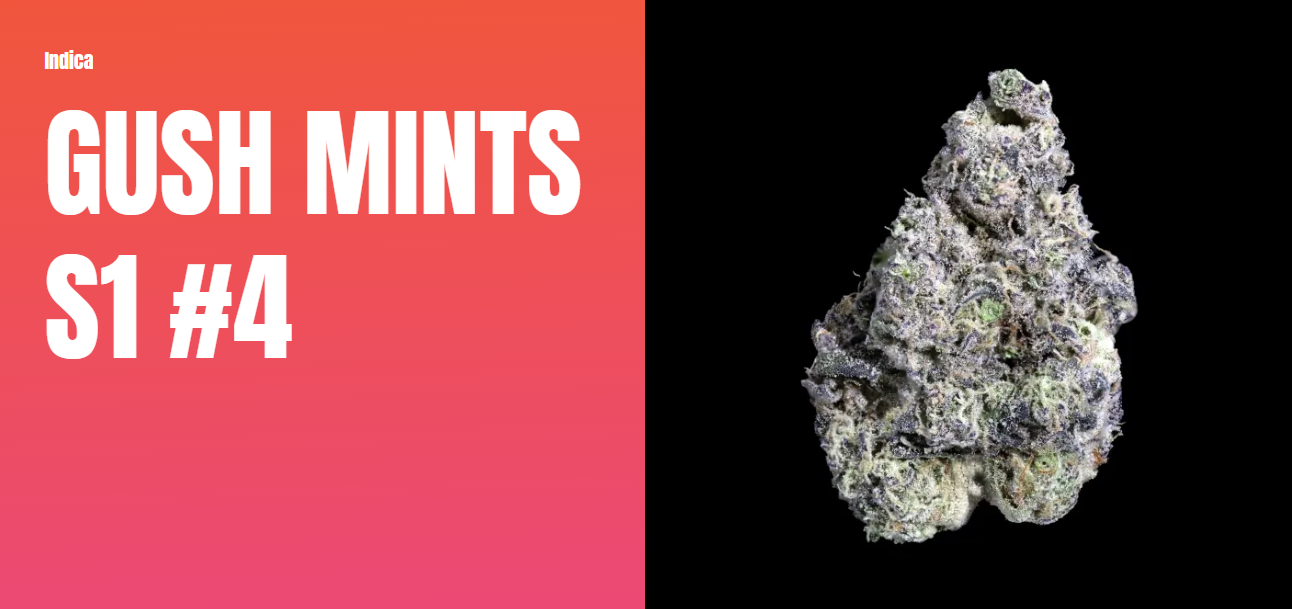 Photograph of product: Gush Mints S1 #4 | 3.5g | Flower