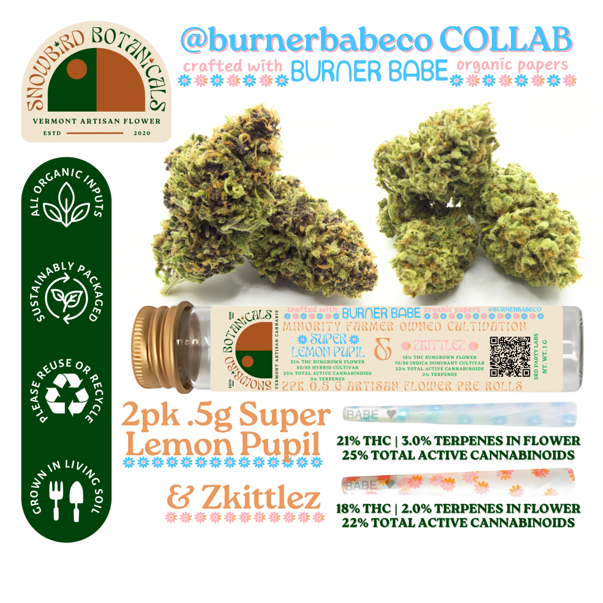 Photograph of Product: Snowbird Botanicals - Pride Pack 2 pack - Dark Queen & Red Mandarin