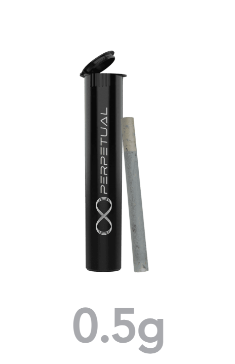 Photograph of product: Perpetual | Cream Royale #2 | Preroll