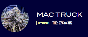 Photograph of product: MAC Truck - Deli - 3.5g