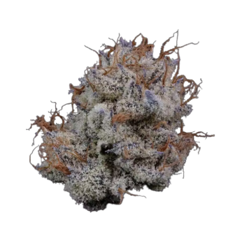 Photograph of product: Violet Fog - Buds - 3.5g