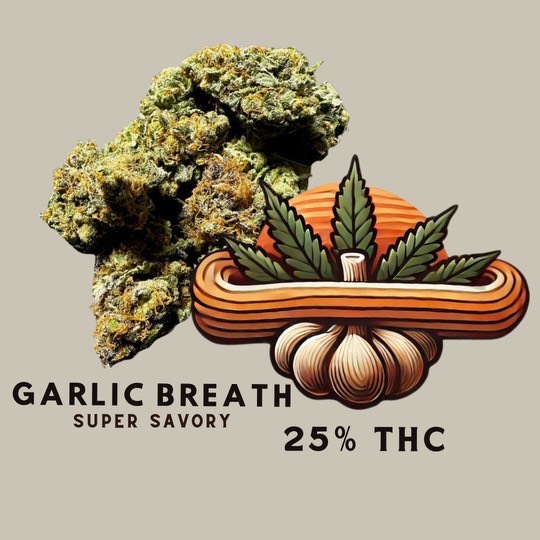 Photograph of product: MP - 2g - Garlic Breath