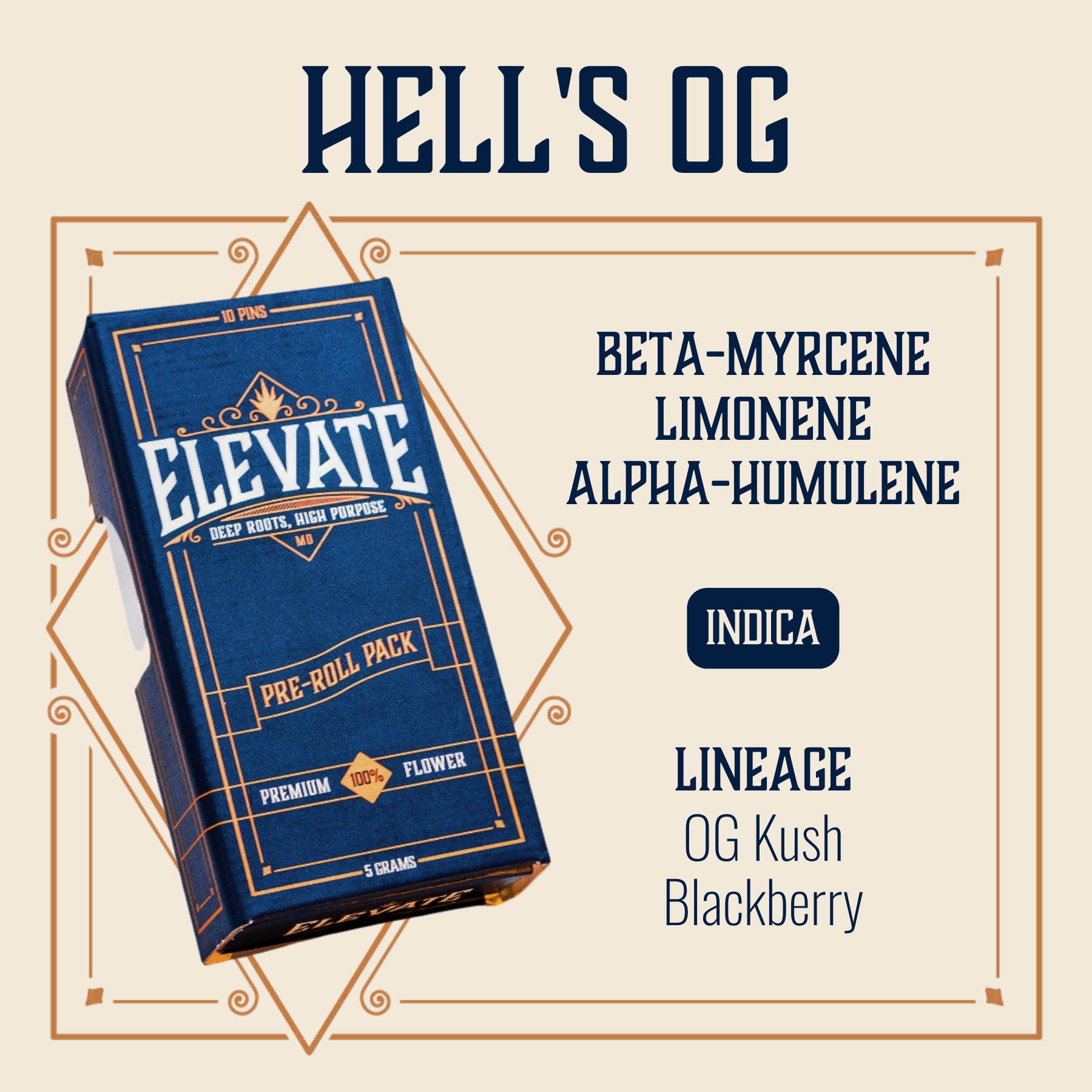 Photograph of product: Hell's OG Pins Pre-Roll | 10-pack