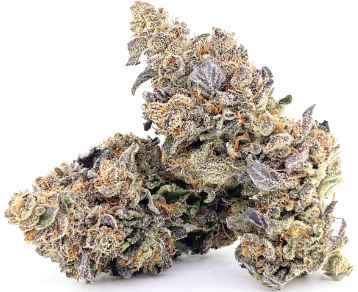 Photograph of product: Oregrown | The Fly - 28g