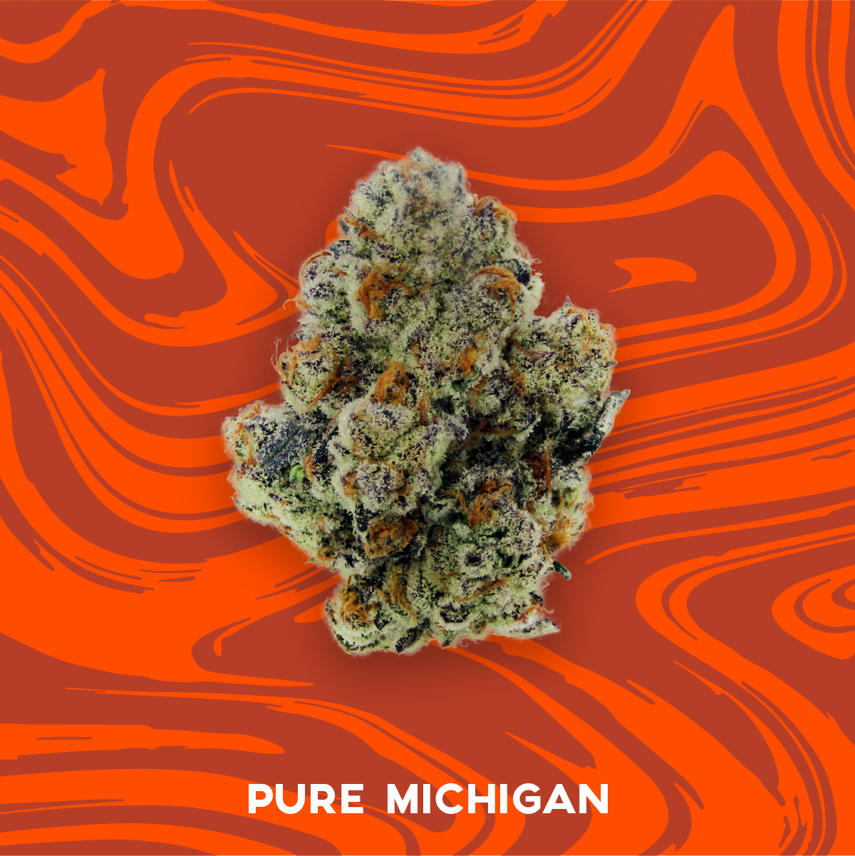 Photograph of product: VIVID - PREPACK - 3.5G - PURE MICHIGAN - Oui'd