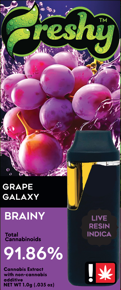 Photograph of product: Freshy 1g Disposable | Grape Galaxy