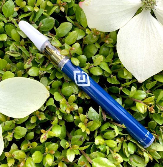Photograph of product: Disposable Pen | Crystal Clear | Jack Herer