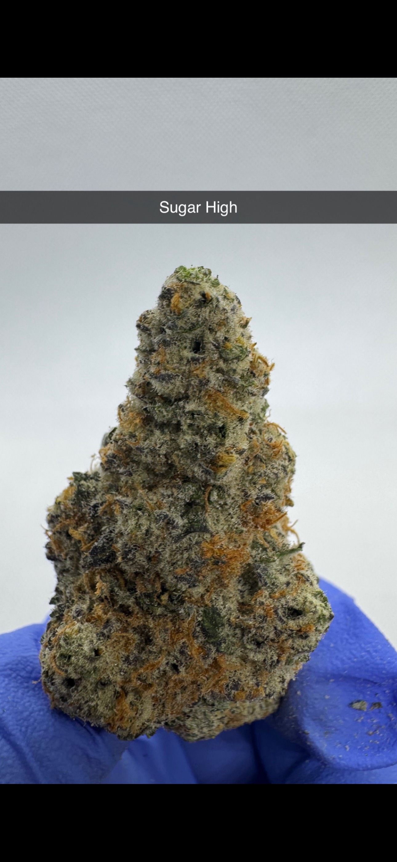 Photograph of product: Sugar High - Flower - Hybrid - 28g