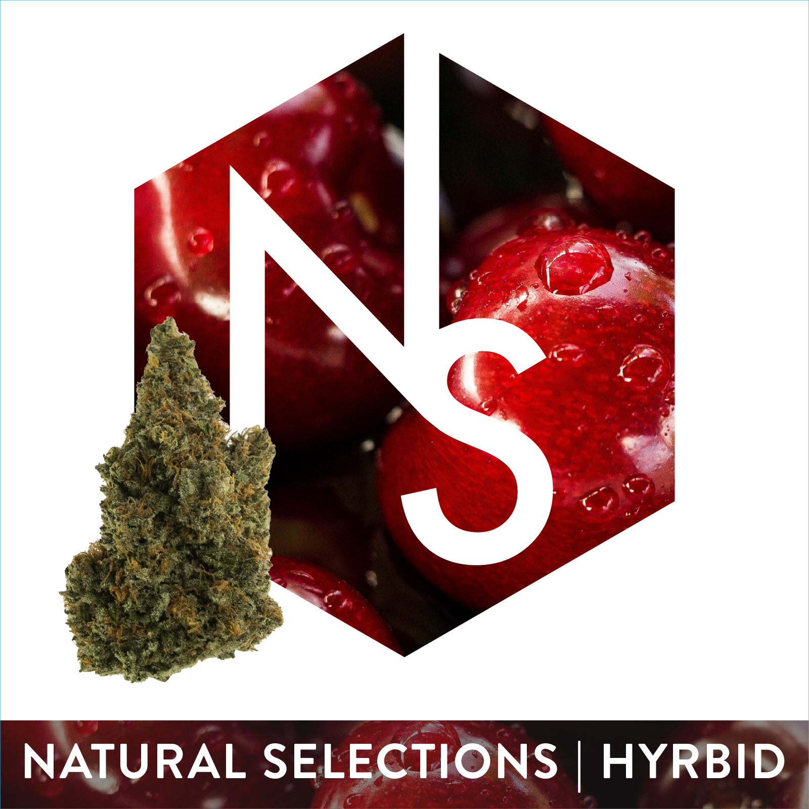 Photograph of product: Strawberry Chocolate - 3.5g