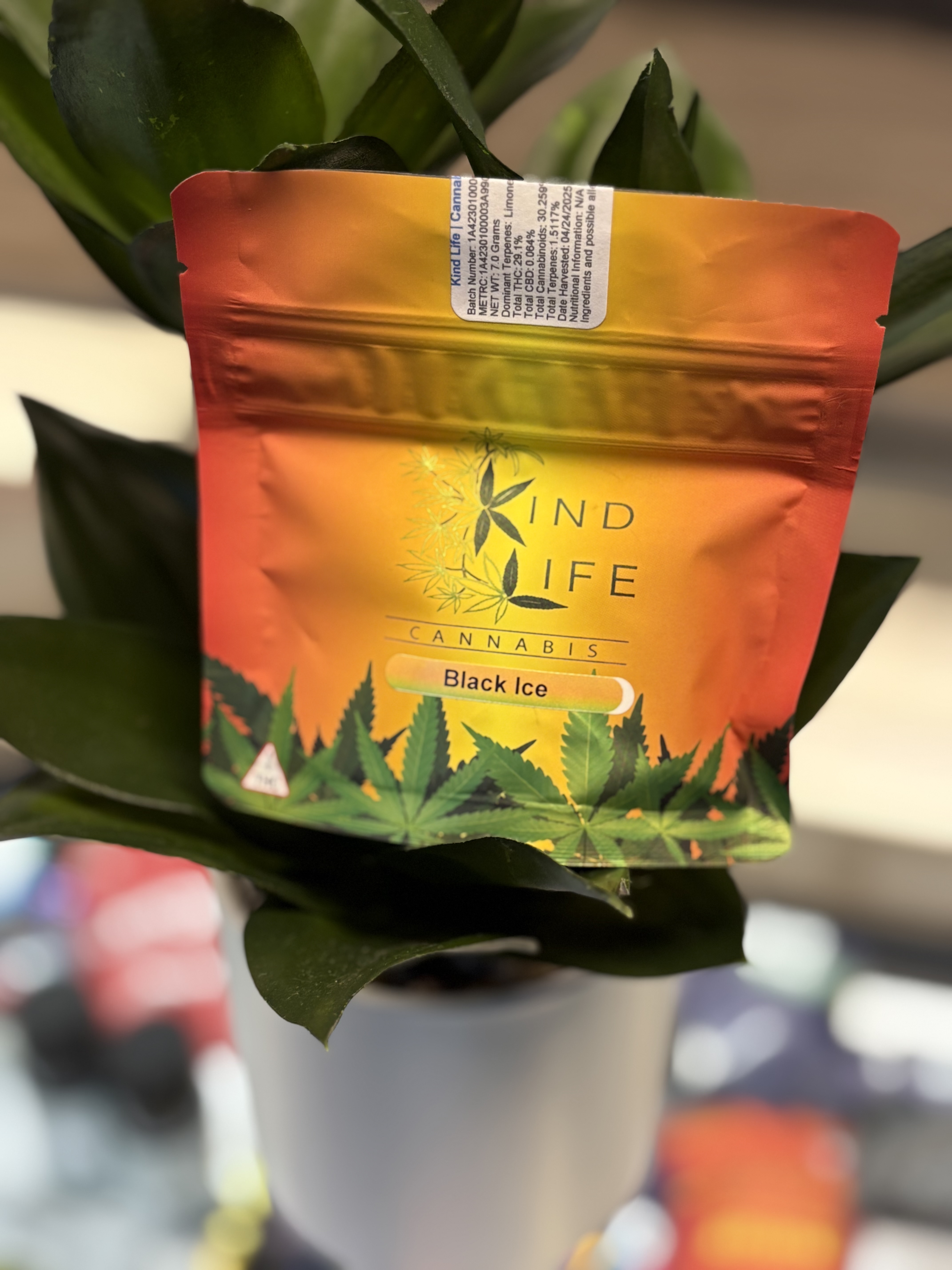 Photograph of product: Kind Life | 7g | Black Ice
