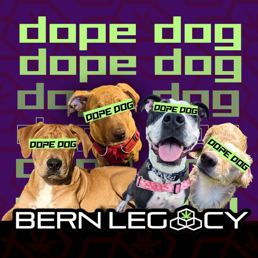 Photograph of Product: Bern Legacy Dope Dog - 28g