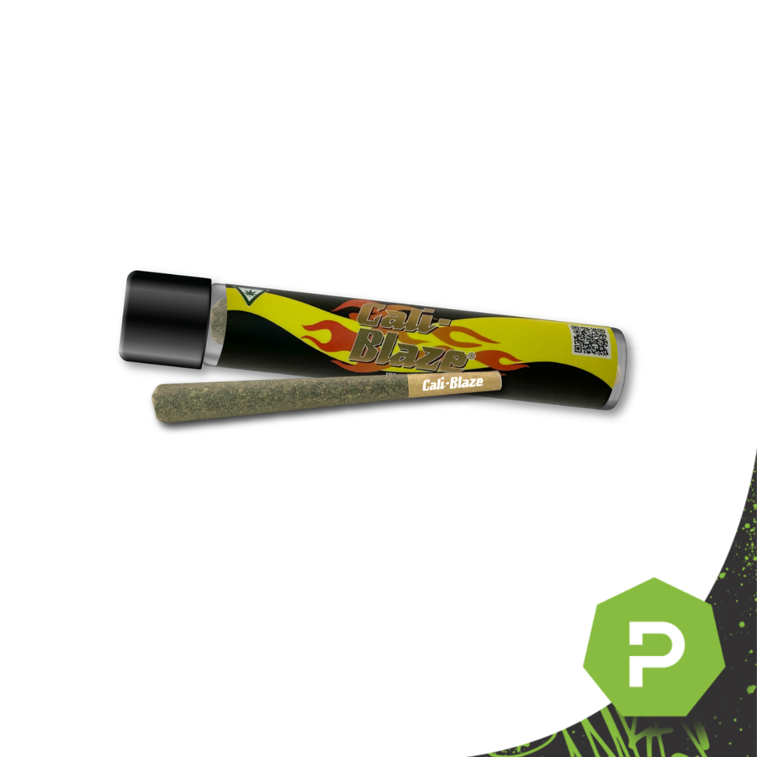 Photograph of product: Cali Blaze Preroll | Sherbanger