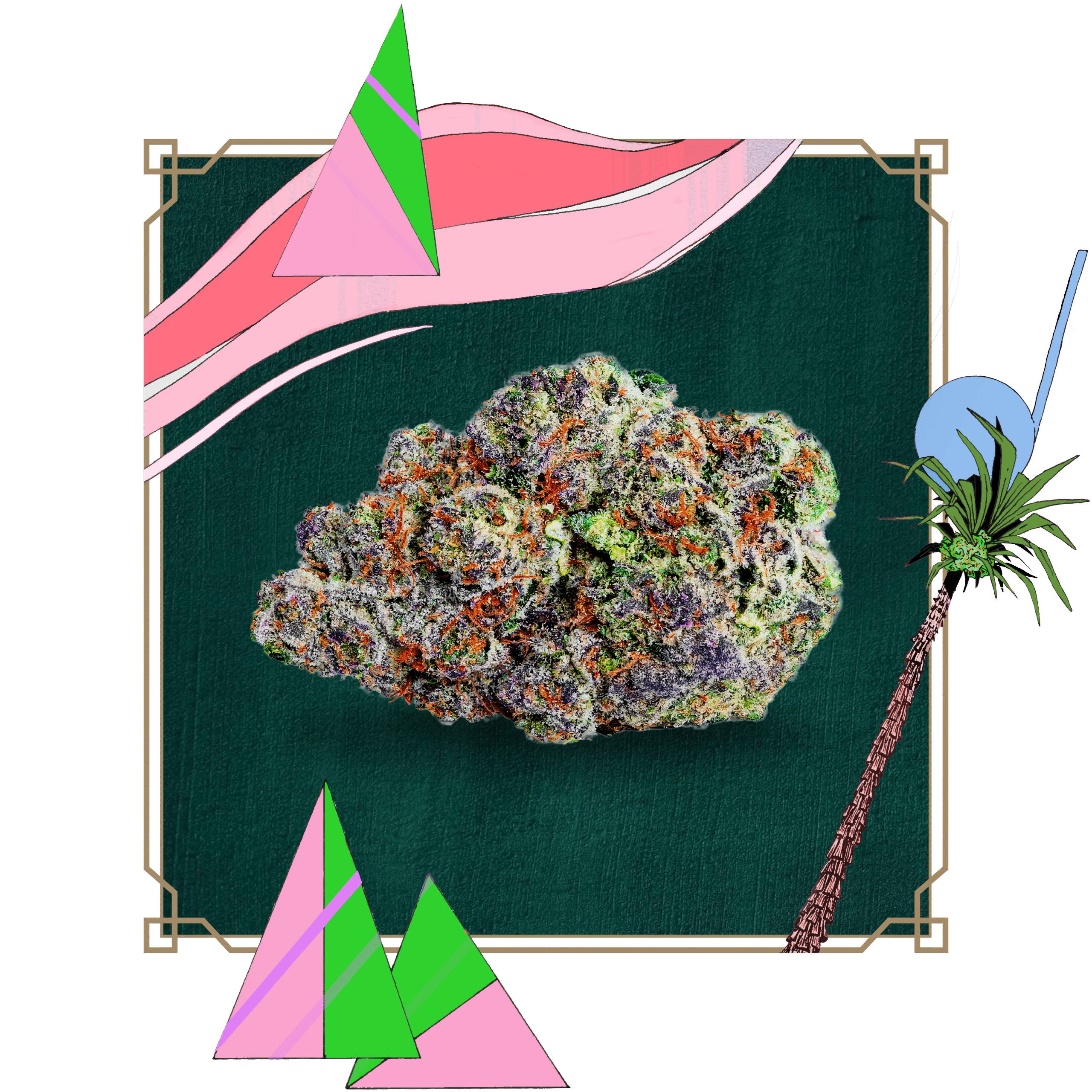 Photograph of product: Peak: Flower | Sunrize Social | 3.5g