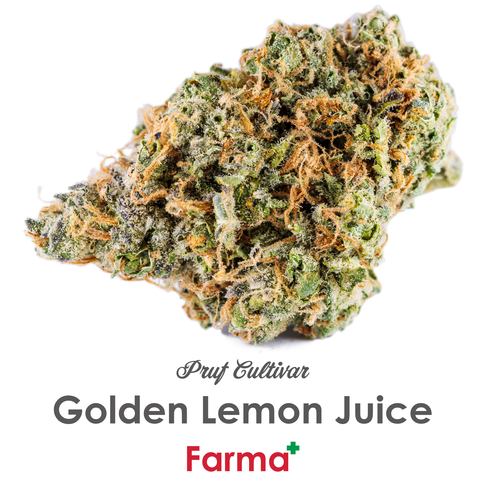 Photograph of product: Pruf Cultivar Golden Lemon Juice | R - 3.5g