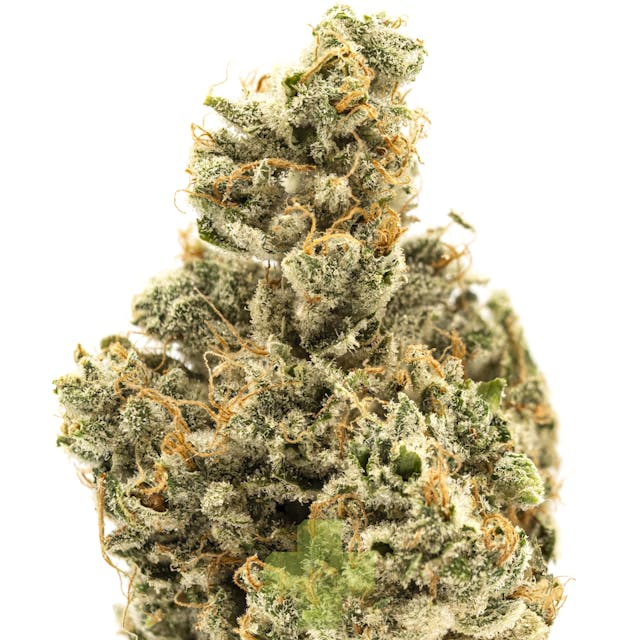 Photograph of product: Super Mango Haze - Eighth