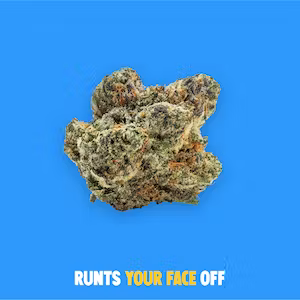 Photograph of product: Buoyant Bob - Flower - Runtz Your Face Off (H) - 3.5g