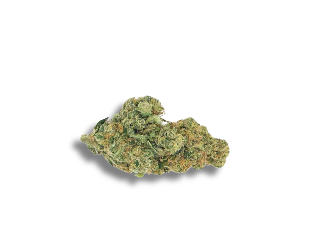 Photograph of product: AMANDA SUNSHINE | FLOWER - 3.5g