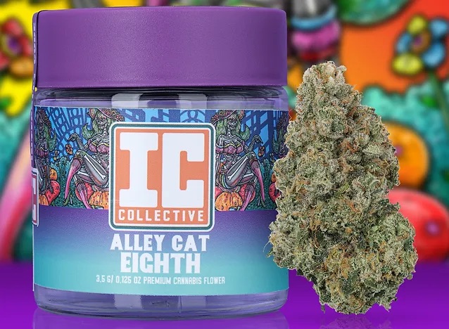 Photograph of product: IC Collective | Flower | Alley Cat - 3.5g