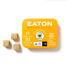 Photograph of product: Eaton Botanicals | Mango Ginger | Fixer Upper  | Gummies