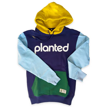 Photograph of product: Color Block Hoodie | Small