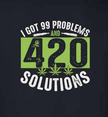 Photograph of product: 99 Problems T-Shirt (XXL)