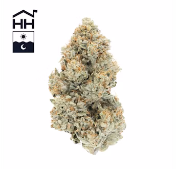 Photograph of product: Motorbreath (TAX INCLUDED) - 7g