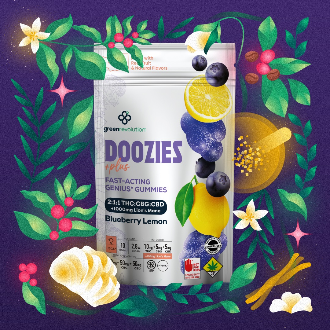 Photograph of product: Blueberry Lemon 2:1:1 CBG Daytime Lion's Mane 200mg | 10pk
