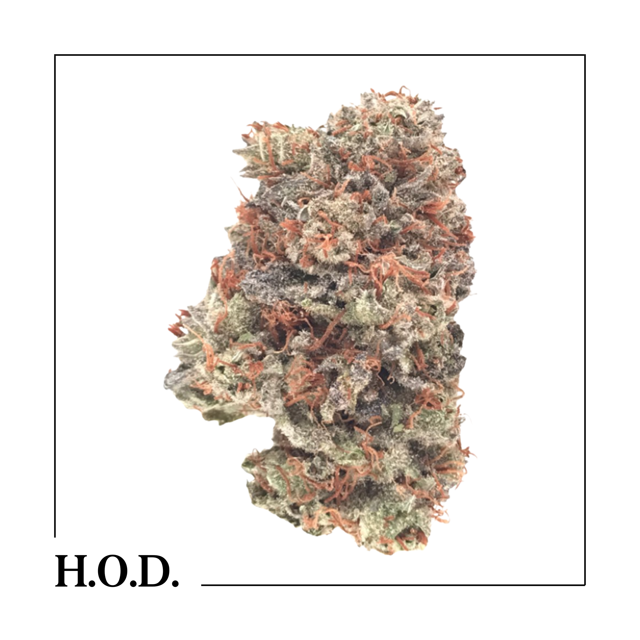 Photograph of product: King Push - 28g