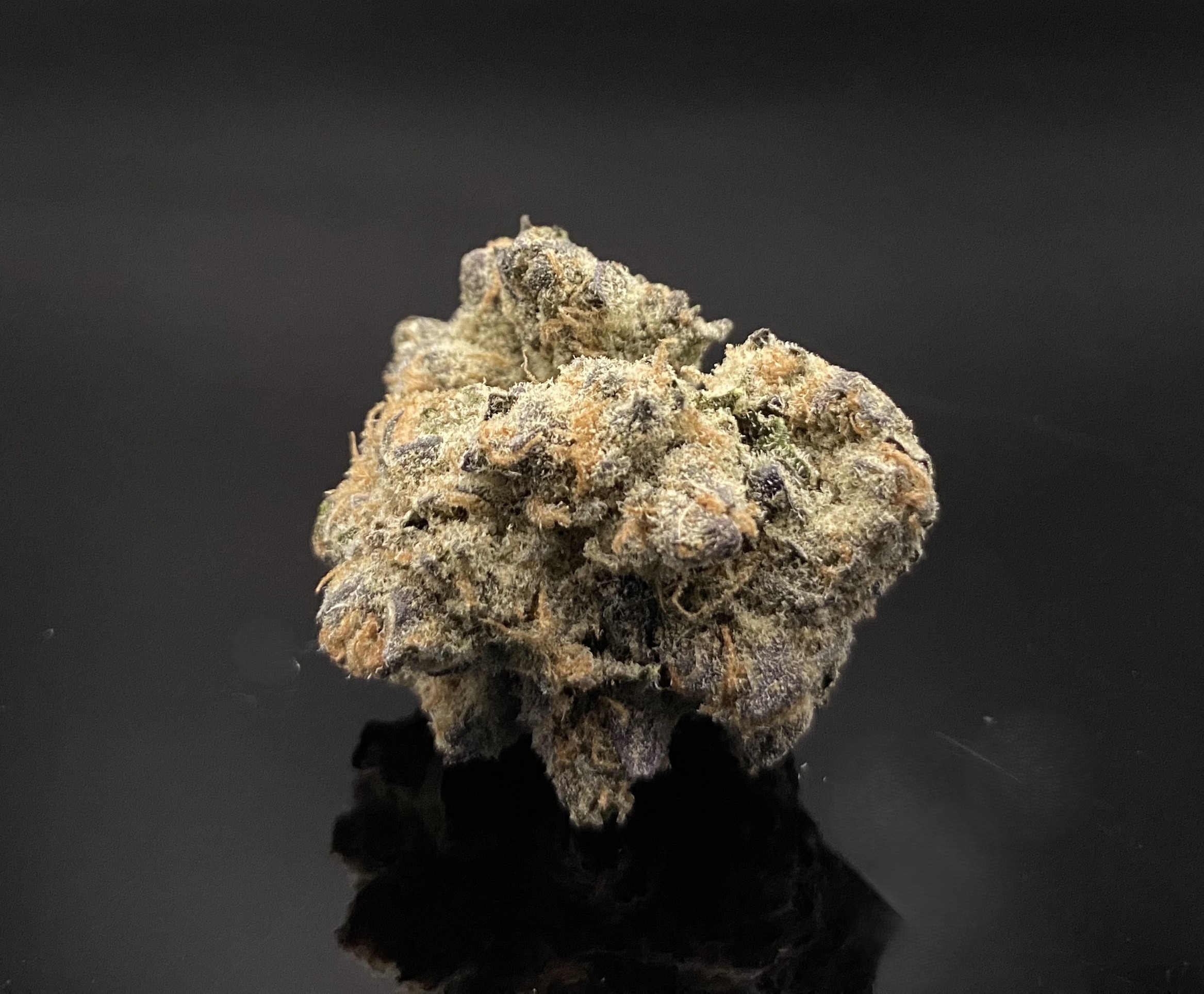 Photograph of product: Flower | Tropical Itch - 7g