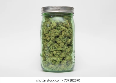 Photograph of product: Raptor Distribution - Gelato Candy - 28g