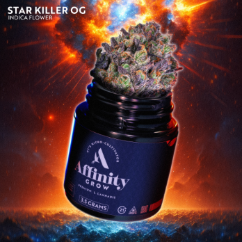 Photograph of product: Star Killer OG Flower T29.93% I 00607 (3.5g)