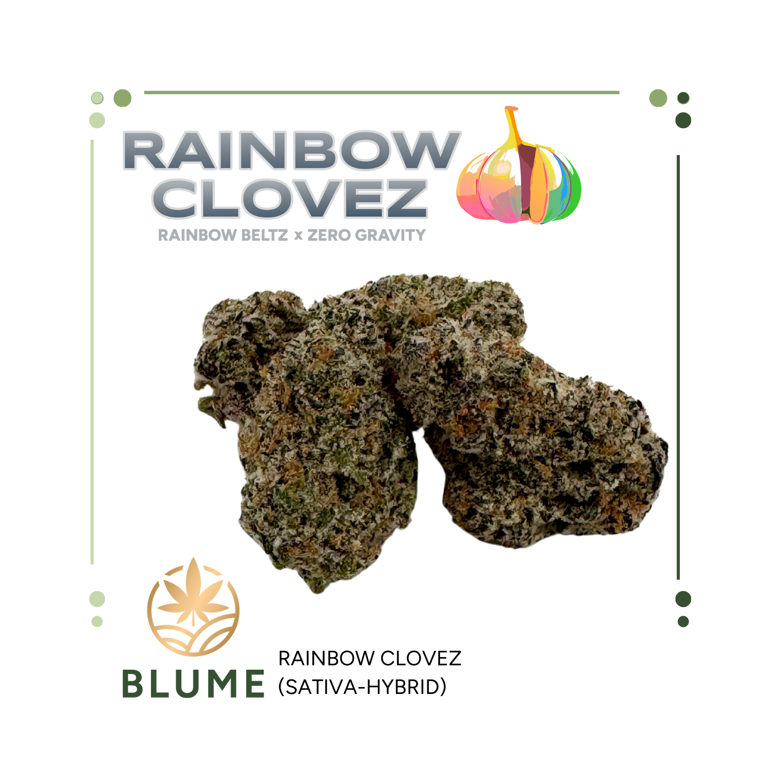 Photograph of product: Flower | BLUME | Rainbow Cloves | Bulk - 28g