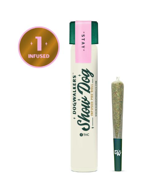Photograph of product: BIG DOG STAY - Afternoon Delight ~ Hybrid ~ Infused Pre-roll