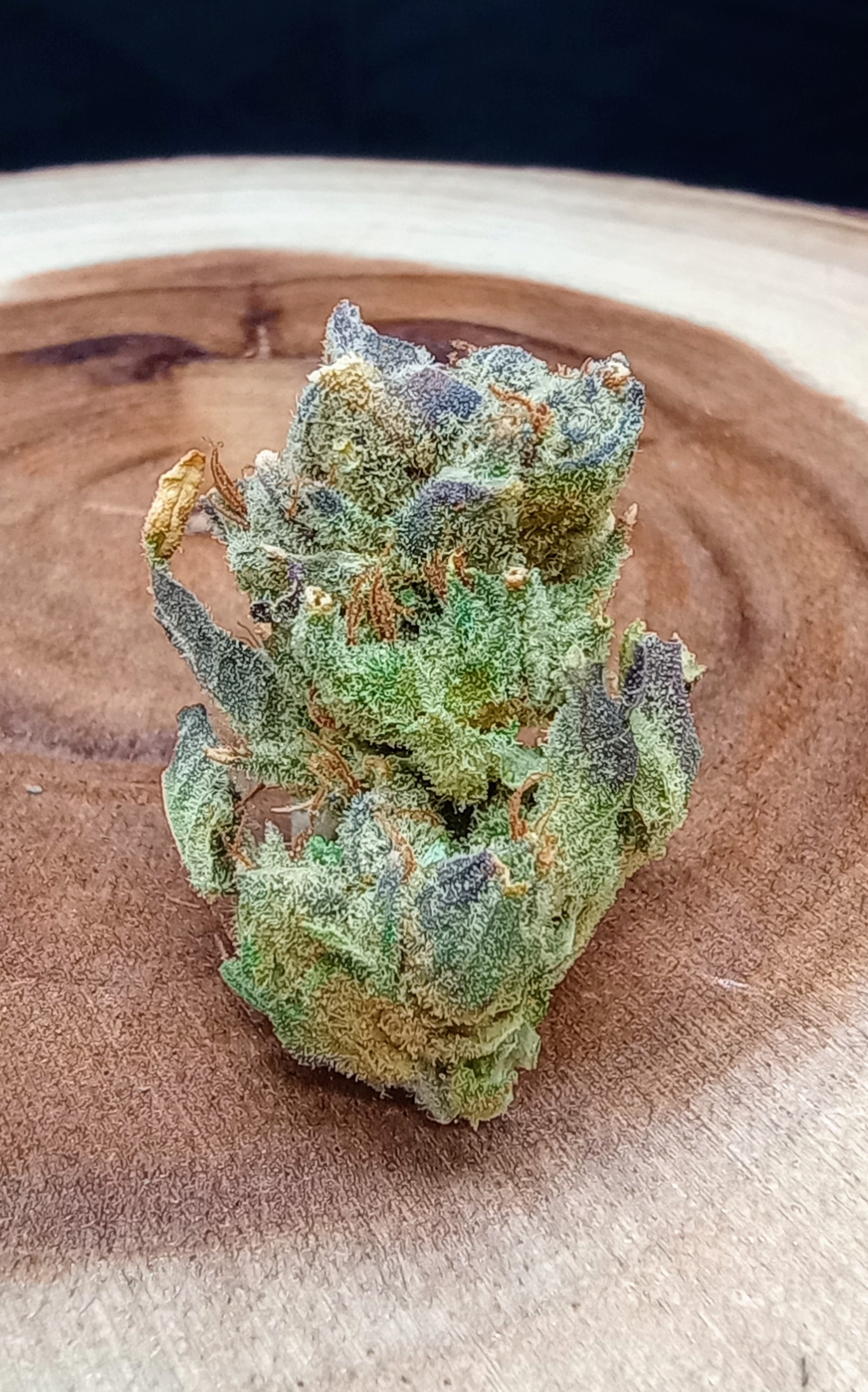 Photograph of Product: Friendly Fire - 3.5g