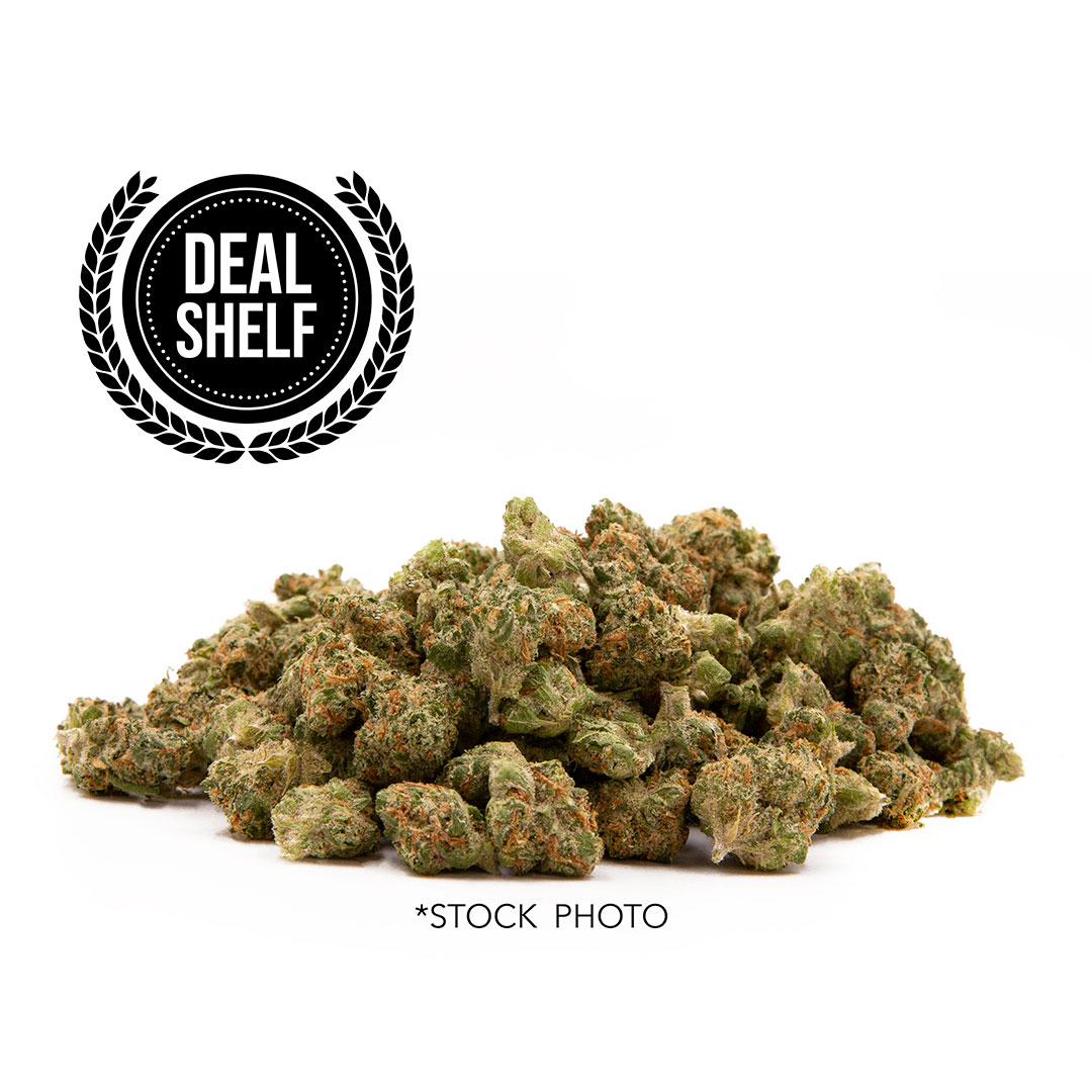 Photograph of product: Garlic Gazillionaire (Hybrid) | Deal Shelf - 28g