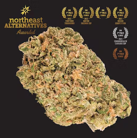 Photograph of product: Sour Tsunami | TAC: 22.3% - 3.5g