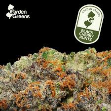 Photograph of product: Blueberry Cruffin 1g Pre Roll-I
