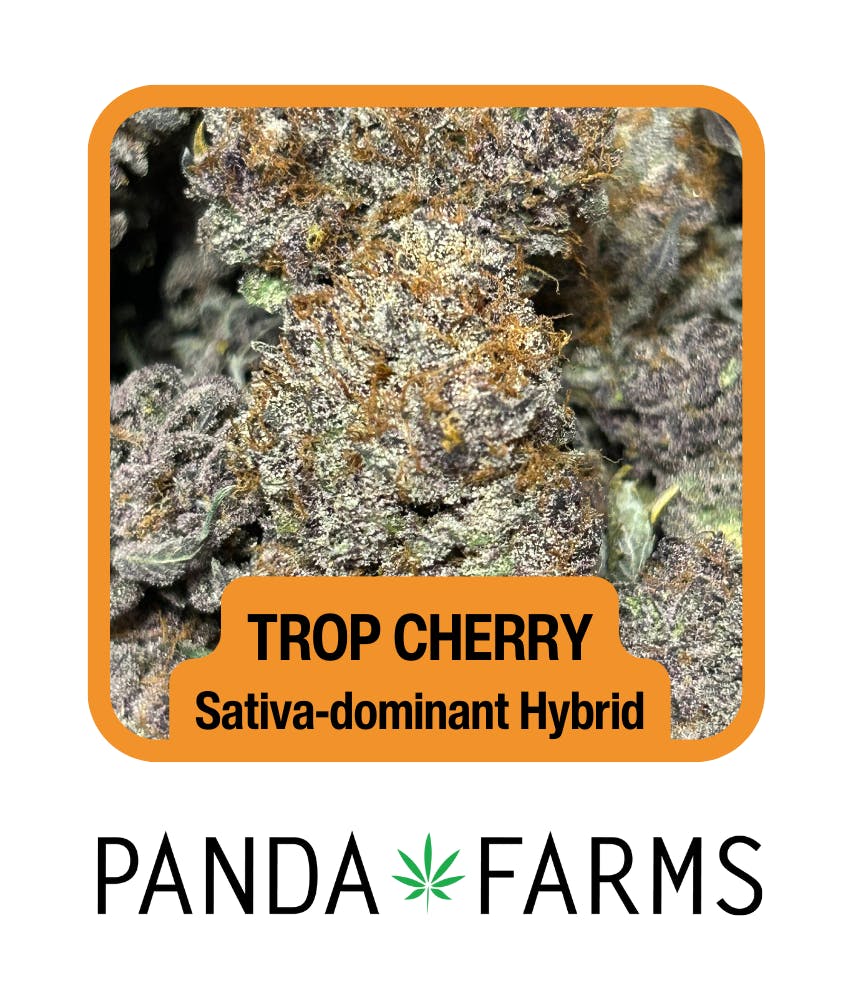 Photograph of product: Trop Cherry | 3.5g