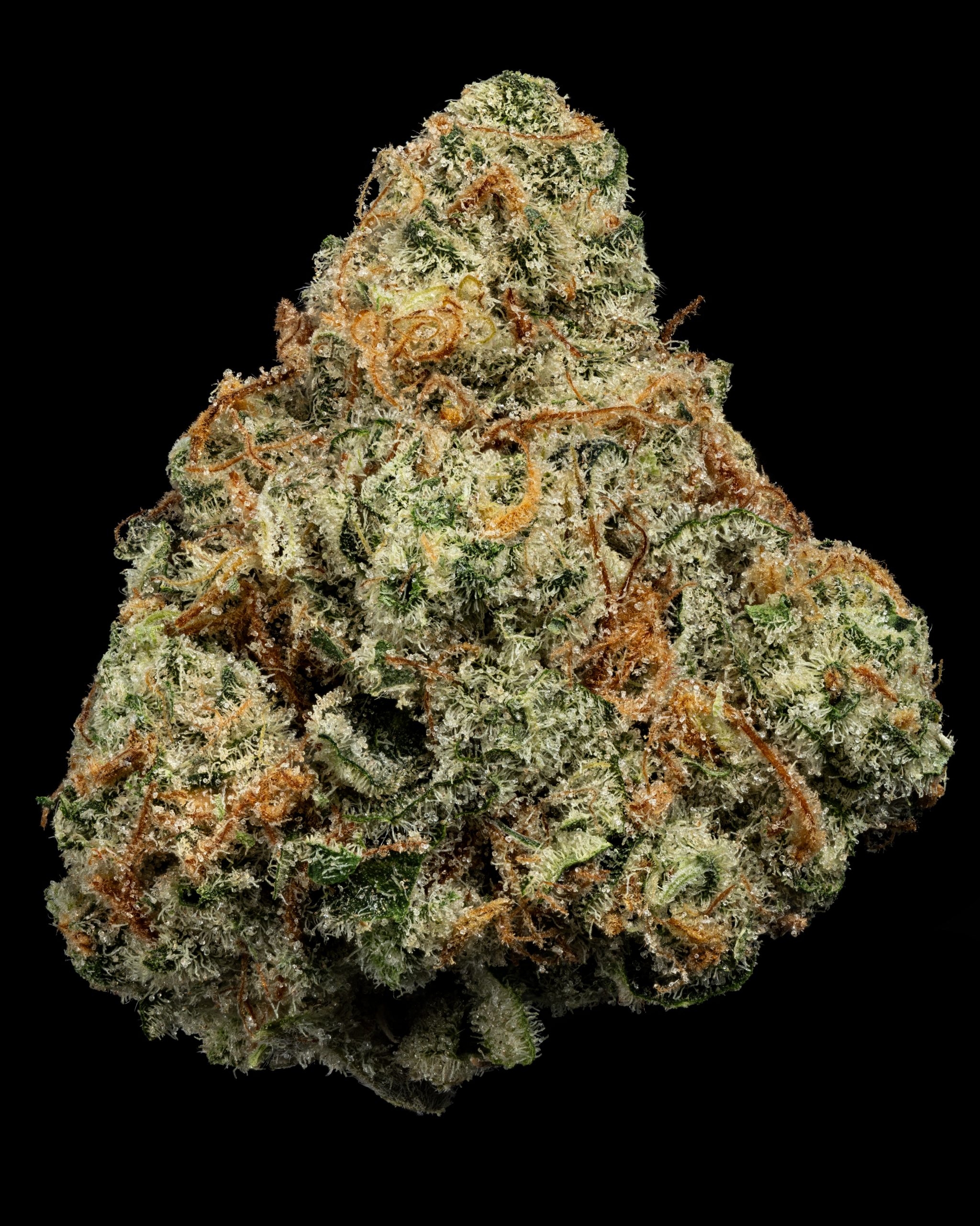 Photograph of product: Where's My Bike | TAC: 26.1% - 3.5g