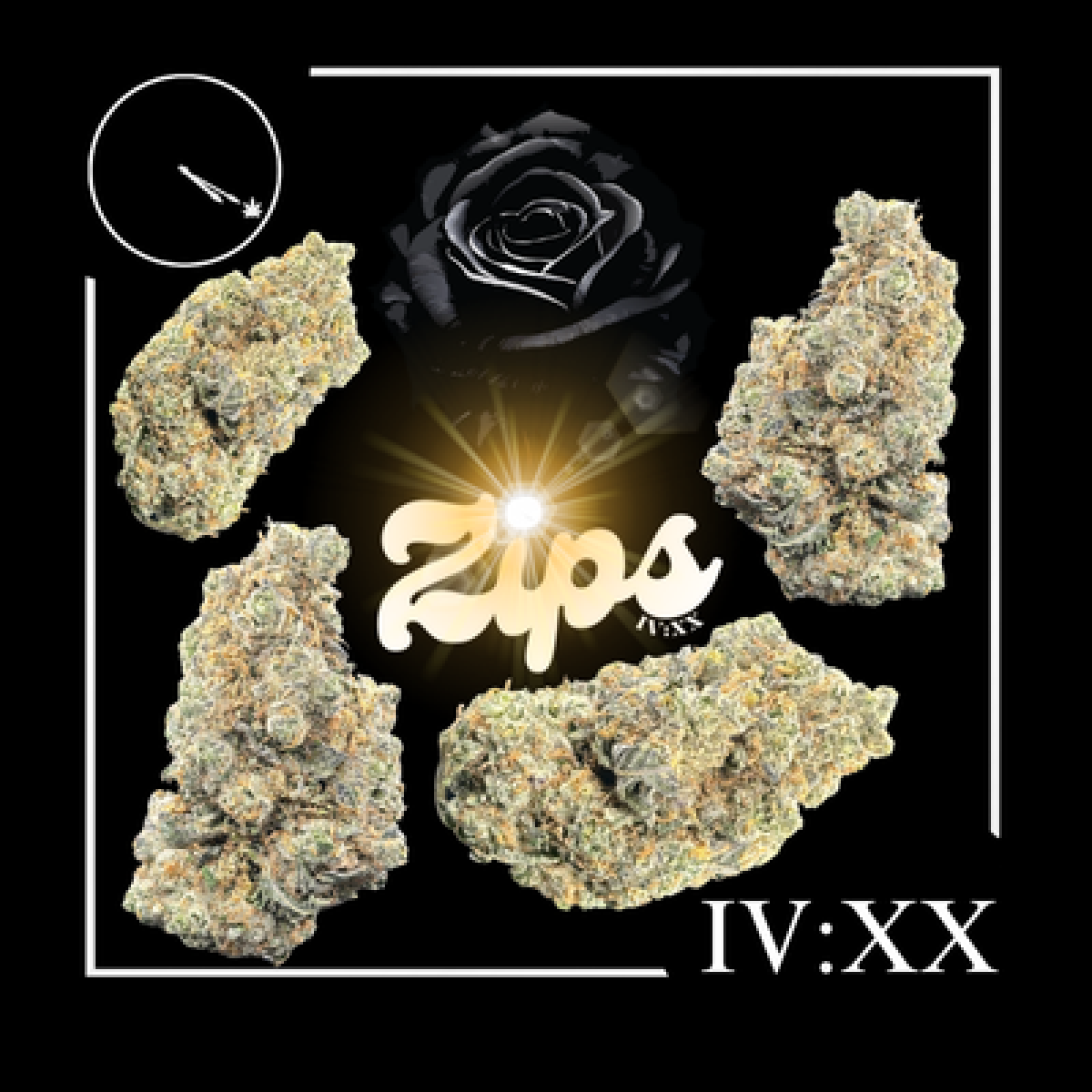 Photograph of product: Black Rose Sun Flower l 28g - Four20